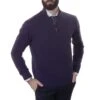 Pull 100% Cachemire Au Col Zip Violet 1 Pull 100% Cachemire Au Col Zip Violet -Loding 488