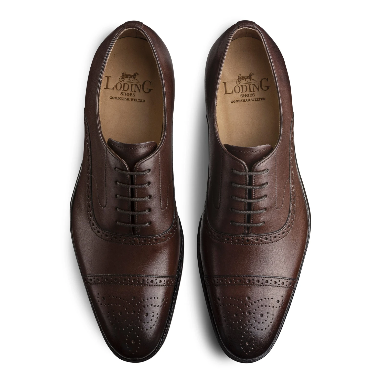Richelieu Brogue Newton 318 Marron 4 Richelieu Brogue Newton 318 Marron – Image 2